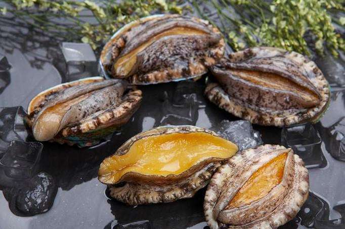 แหล่งรวมอาหารทะเลรสเลิศ: ผู้ผลิตหอยเป๋าฮื้อมืออาชีพในฝูเจี้ยน ประเทศจีน